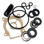 Kpl uszczelek przekładni Suzuki DF25 DF30 DT30  25700-95D01 / 25700-95D03