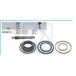 Kpl naprawczy siłownika trymu Volvo Penta SX-A DPS-A 3889954 3889955