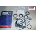 Kpl uszczelnień góra przekładni OMC Stringer 1973-1986 BRP 982949