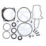 Kpl uszczelnień przekładni Evinrude 150~300KM 5007700