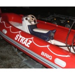 Łódź hybrydowa RIB BRIG Falcon 450 Sport Honda BF50