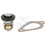 Termostat 60°C uszczelka Mercury Tohatsu 8KM~30KM 18-43175