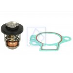 Termostat z uszczelką 60°C Mercury 30KM-50KM 3-cyl 825212 18-3642 