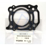Uszczelka głowicy Mercury F4 F5 F6 Tohatsu MFS5